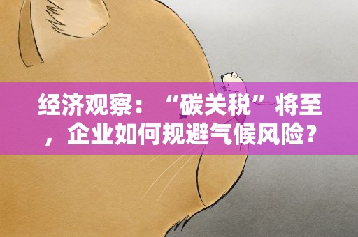 经济观察：“碳关税”将至，企业如何规避气候风险？