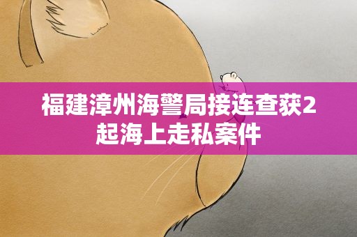 福建漳州海警局接连查获2起海上走私案件