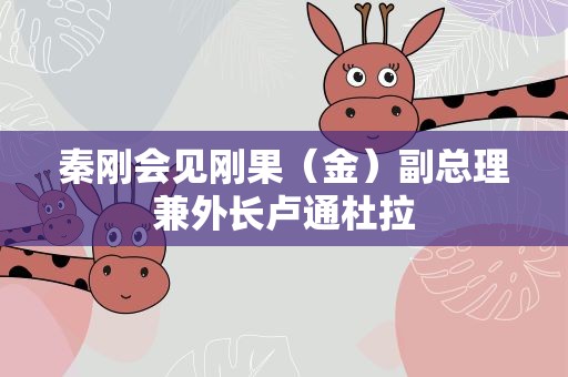 秦刚会见刚果（金）副总理兼外长卢通杜拉