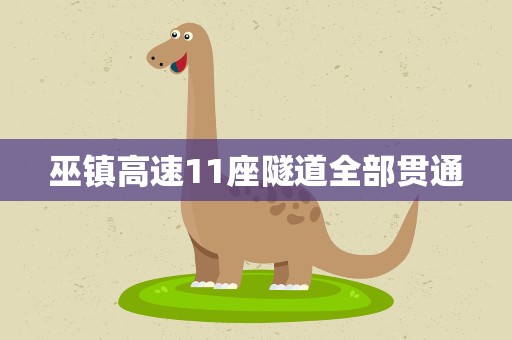 巫镇高速11座隧道全部贯通