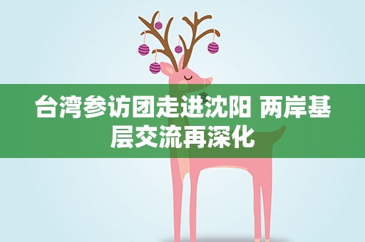台湾参访团走进沈阳 两岸基层交流再深化