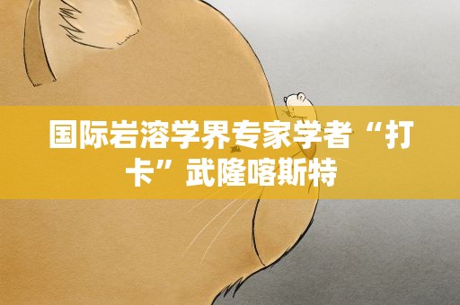 国际岩溶学界专家学者“打卡”武隆喀斯特