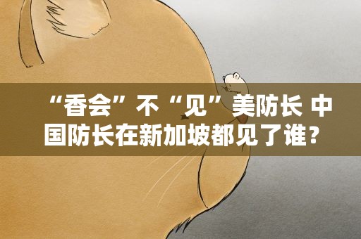 “香会”不“见”美防长 中国防长在新加坡都见了谁？