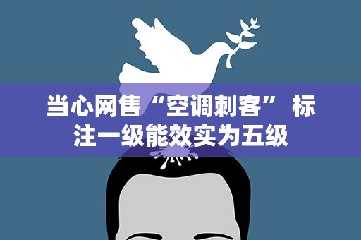 当心网售“空调刺客” 标注一级能效实为五级