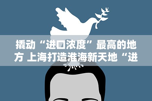 撬动“进口浓度”最高的地方 上海打造淮海新天地“进口示范区”