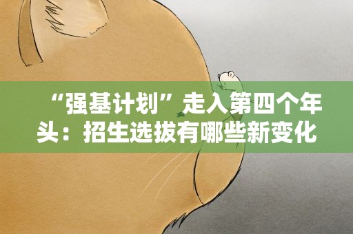 “强基计划”走入第四个年头：招生选拔有哪些新变化