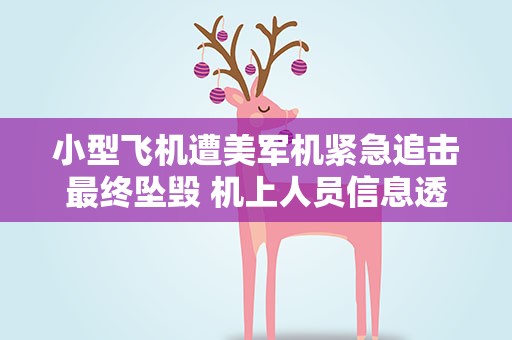 小型飞机遭美军机紧急追击最终坠毁 机上人员信息透露！