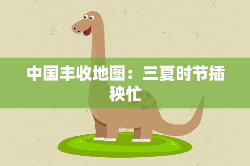 中国丰收地图：三夏时节插秧忙