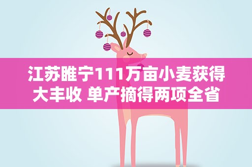 江苏睢宁111万亩小麦获得大丰收 单产摘得两项全省第一