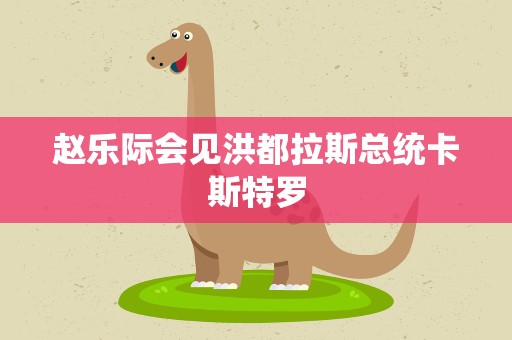 赵乐际会见洪都拉斯总统卡斯特罗