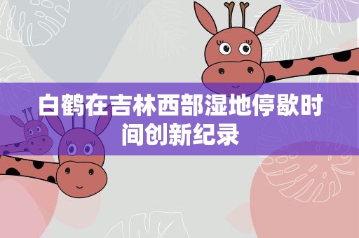 白鹤在吉林西部湿地停歇时间创新纪录