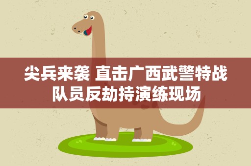 尖兵来袭 直击广西武警特战队员反劫持演练现场