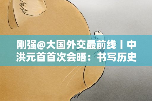 刚强@大国外交最前线丨中洪元首首次会晤：书写历史 建立友谊 增进互信