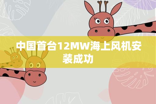 中国首台12MW海上风机安装成功