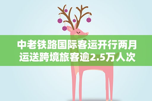 中老铁路国际客运开行两月 运送跨境旅客逾2.5万人次