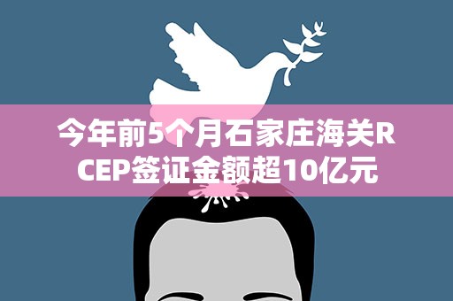今年前5个月石家庄海关RCEP签证金额超10亿元