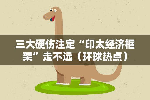 三大硬伤注定“印太经济框架”走不远（环球热点）
