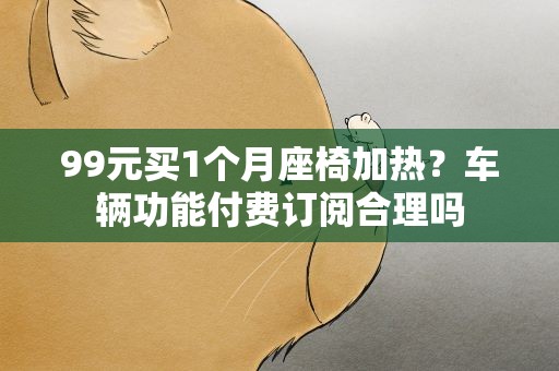 99元买1个月座椅加热？车辆功能付费订阅合理吗