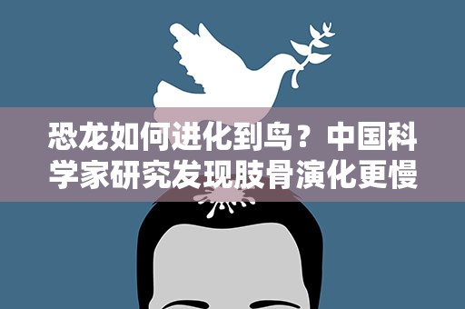 恐龙如何进化到鸟？中国科学家研究发现肢骨演化更慢变化更小