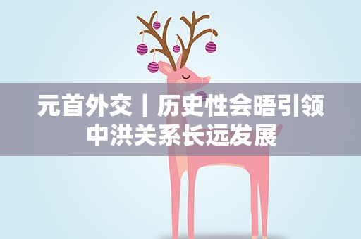元首外交｜历史性会晤引领中洪关系长远发展