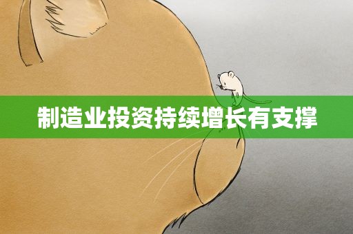 制造业投资持续增长有支撑