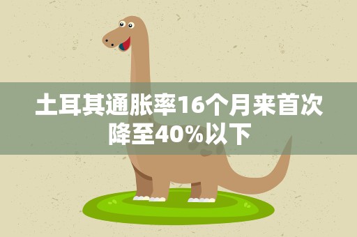 土耳其通胀率16个月来首次降至40%以下
