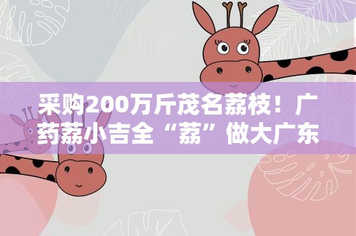 采购200万斤茂名荔枝！广药荔小吉全“荔”做大广东荔枝产业