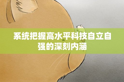 系统把握高水平科技自立自强的深刻内涵