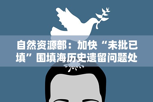 自然资源部：加快“未批已填”围填海历史遗留问题处理