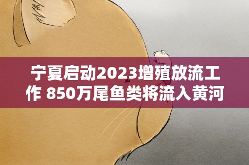 宁夏启动2023增殖放流工作 850万尾鱼类将流入黄河流域
