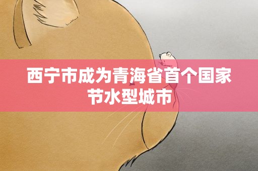 西宁市成为青海省首个国家节水型城市