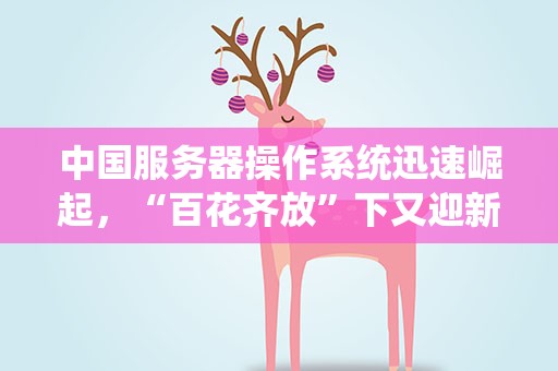 中国服务器操作系统迅速崛起，“百花齐放”下又迎新玩家