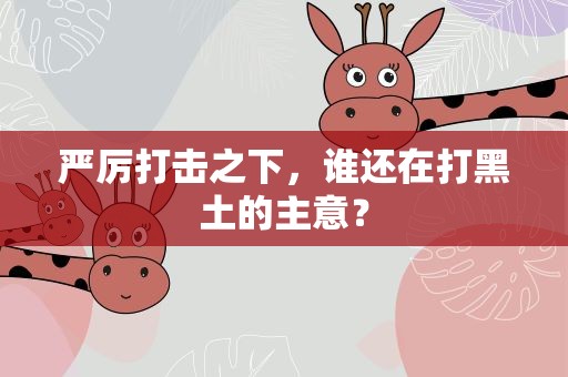 严厉打击之下，谁还在打黑土的主意？