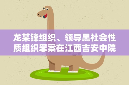 龙某锋组织、领导黑社会性质组织罪案在江西吉安中院一审开庭
