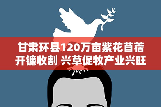 甘肃环县120万亩紫花苜蓿开镰收割 兴草促牧产业兴旺