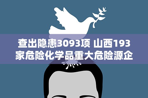 查出隐患3093项 山西193家危险化学品重大危险源企业完成自查