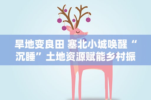 旱地变良田 塞北小城唤醒“沉睡”土地资源赋能乡村振兴