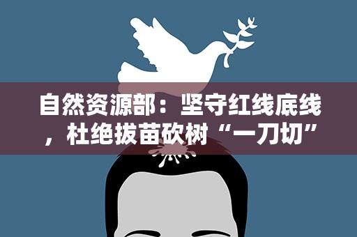 自然资源部：坚守红线底线，杜绝拔苗砍树“一刀切”