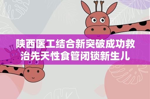 陕西医工结合新突破成功救治先天性食管闭锁新生儿