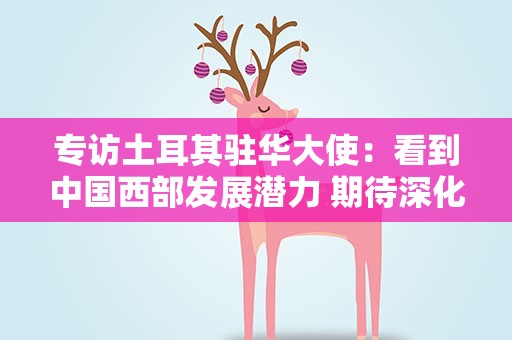 专访土耳其驻华大使：看到中国西部发展潜力 期待深化两国关系