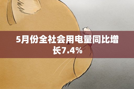 5月份全社会用电量同比增长7.4%