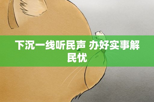 下沉一线听民声 办好实事解民忧
