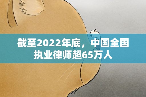 截至2022年底，中国全国执业律师超65万人