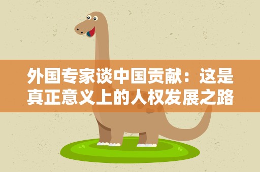外国专家谈中国贡献：这是真正意义上的人权发展之路｜世界观