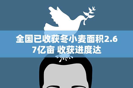 全国已收获冬小麦面积2.67亿亩 收获进度达