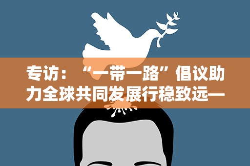 专访：“一带一路”倡议助力全球共同发展行稳致远——访瑞典“一带一路”研究所副所长阿斯卡里