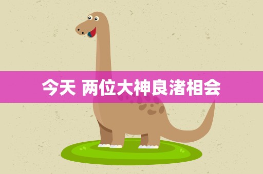 今天 两位大神良渚相会