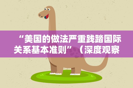 “美国的做法严重践踏国际关系基本准则”（深度观察）