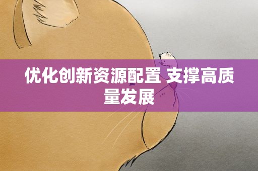 优化创新资源配置 支撑高质量发展