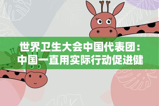 世界卫生大会中国代表团：中国一直用实际行动促进健康公平可及